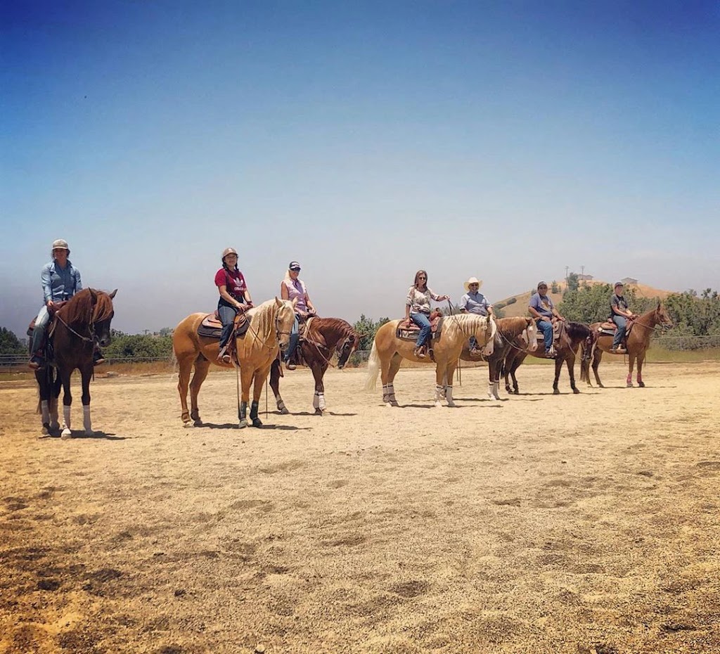 LT Quarter Horses | 21650 Juniper Rd, Perris, CA 92570, USA | Phone: (323) 770-1428