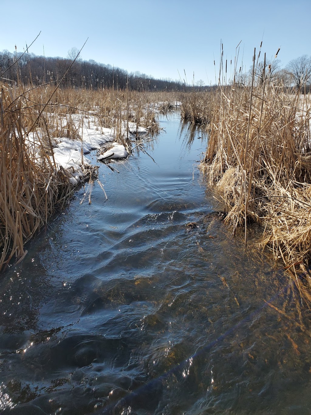 Lilly Heights Park | Lilly Heights Park, 4245 Lilly Rd, Brookfield, WI 53005, USA | Phone: (262) 796-6675