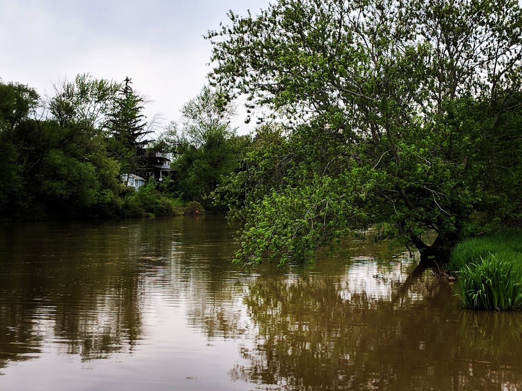 E. C. Brown Conservation Area, Wetland and Boat Launch | 536 River Rd, Fenwick, ON L0S 1C0, Canada | Phone: (905) 788-3135