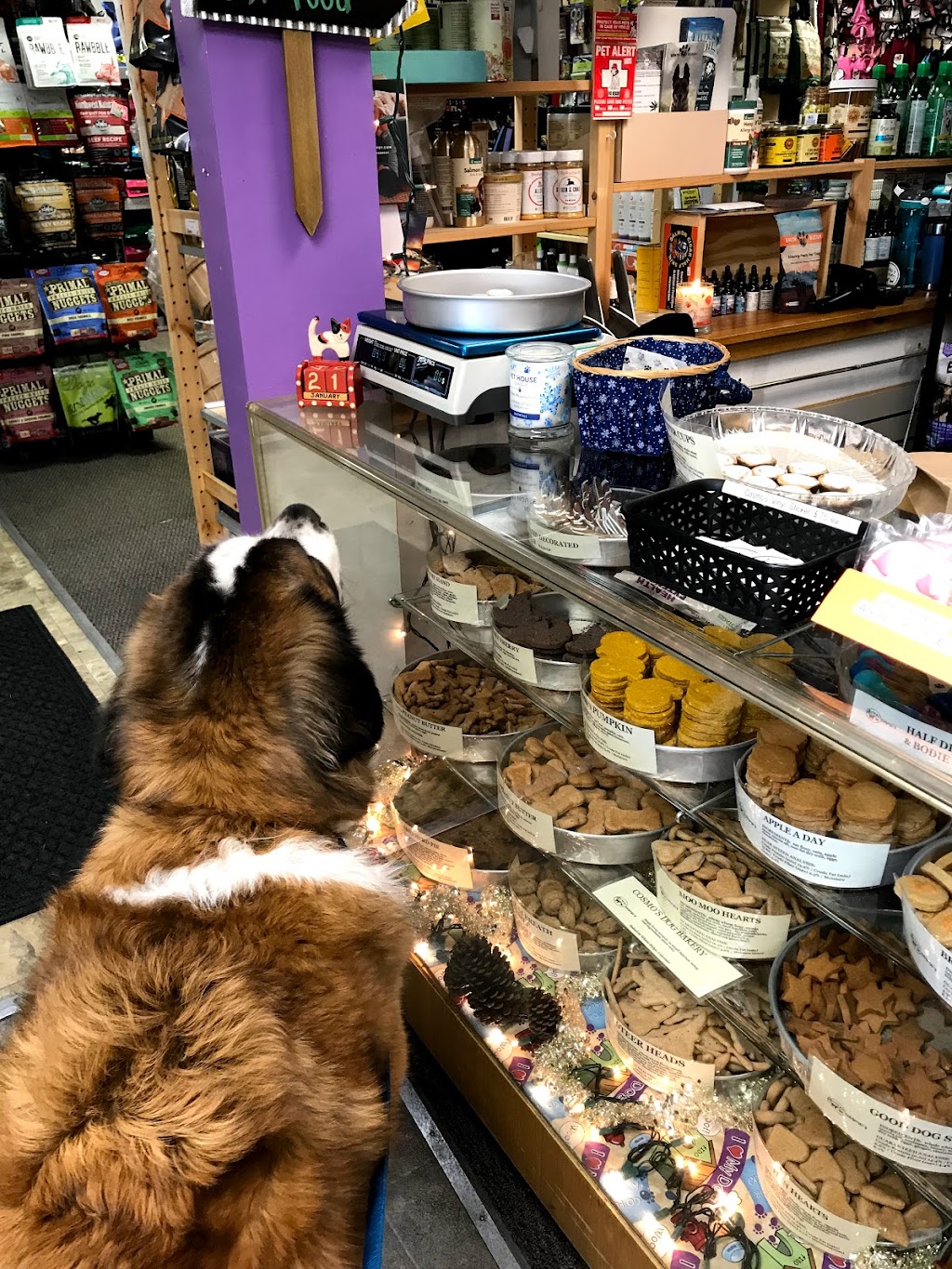 Cosmos Dog Bakery and Pet Supplies | 10111 W 26th Ave #101, Wheat Ridge, CO 80215, USA | Phone: (303) 232-1477