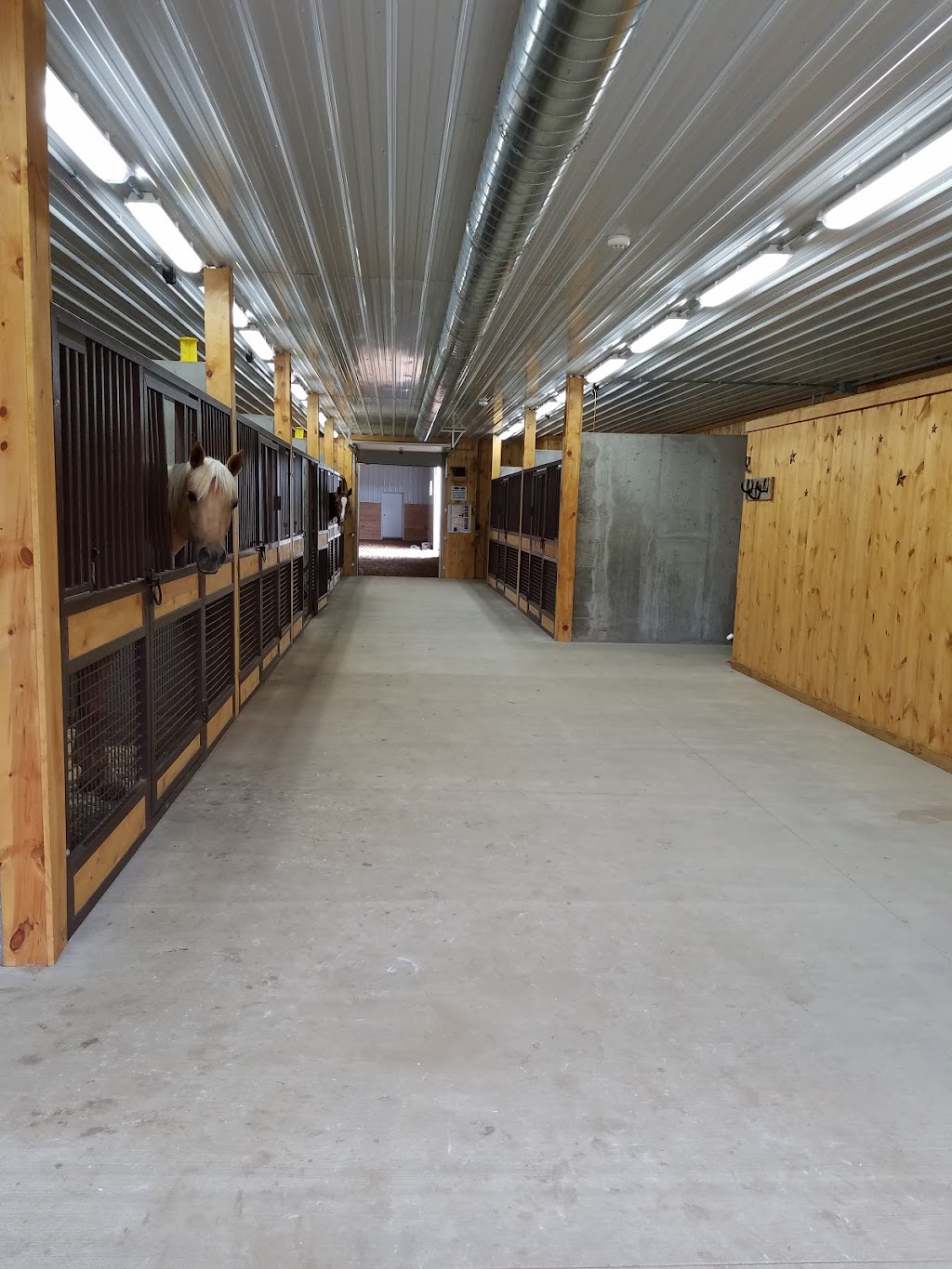 Stoffel Equine Veterinary Clinic | 26336 130th Ave, Welch, MN 55089, USA | Phone: (651) 247-3347