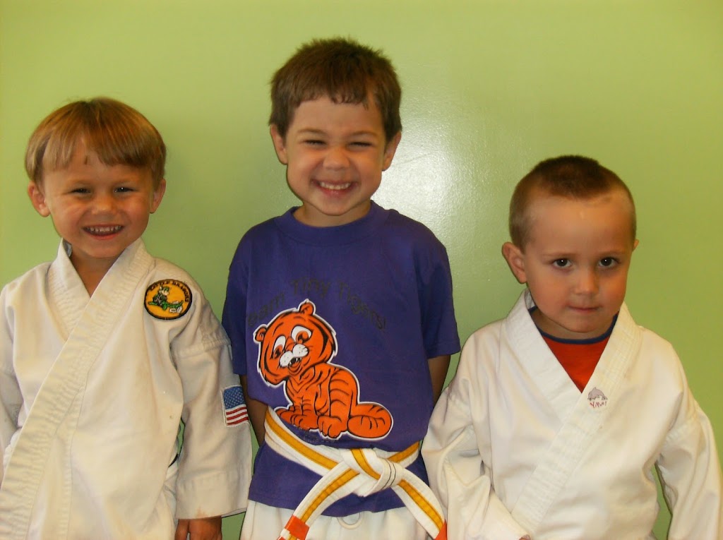 New Orleans Karate Institute, Inc. | 8611 LA-23 #2c, Belle Chasse, LA 70037, USA | Phone: (504) 391-7200