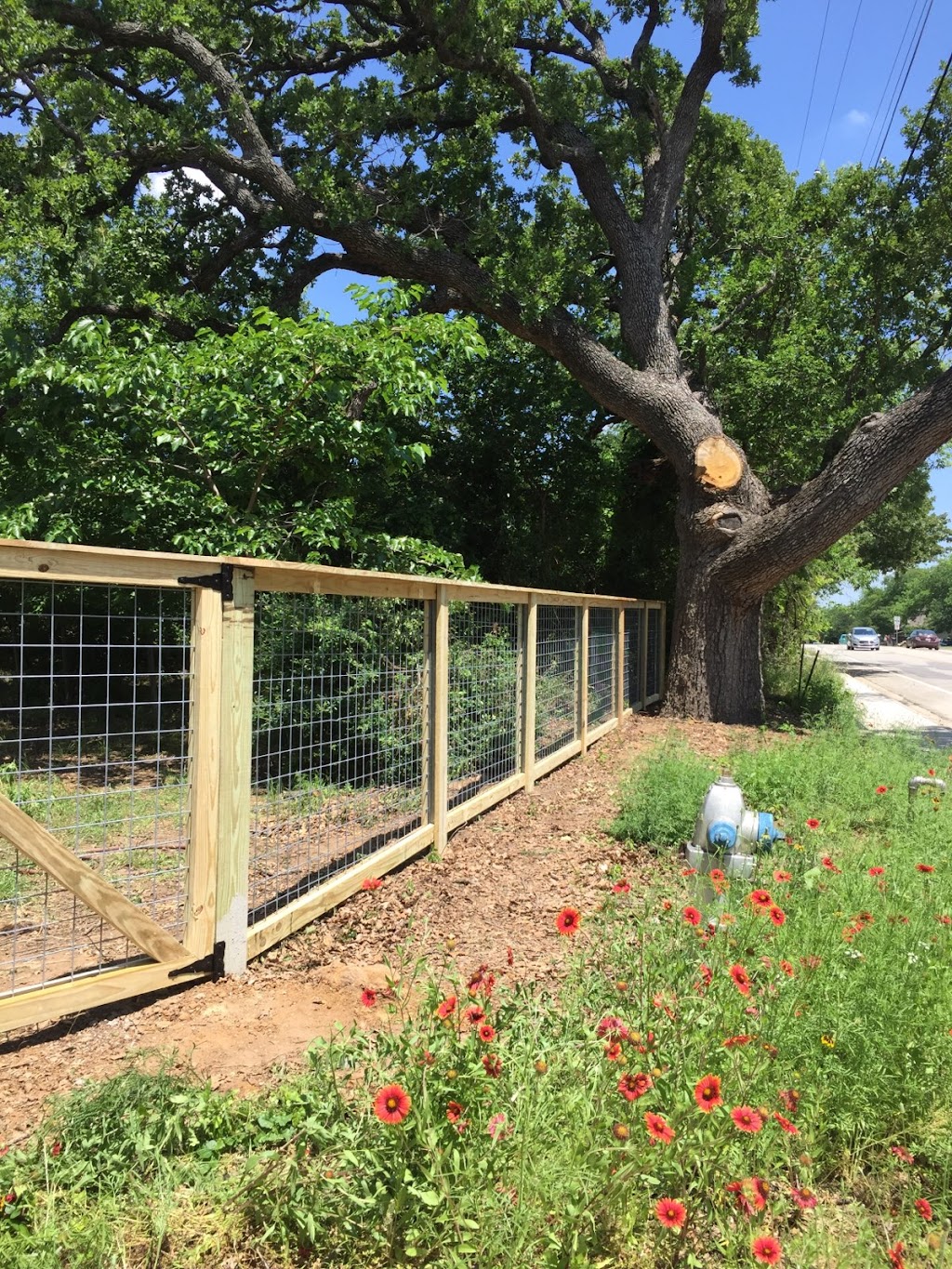 Alpha Fence Company | 5904 Edgewood Pl, Little Elm, TX 75068, USA | Phone: (972) 625-9874