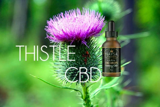 Thistle CBD | 7640 Dickey Rd, Middletown, OH 45042, USA | Phone: (513) 393-9633