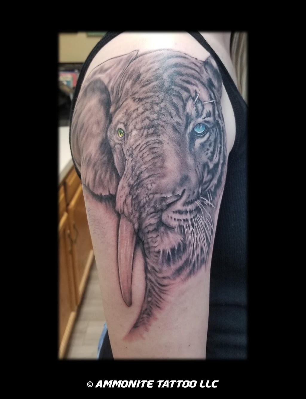 Ammonite Tattoo LLC | 8500 Station St, Mentor, OH 44060, USA | Phone: (440) 796-2448