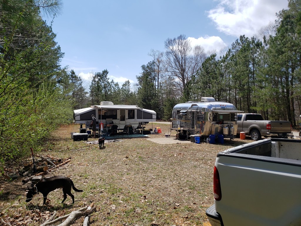 Chickahominy Wildlife Management Area | Morris Creek Landing Rd, Charles City, VA 23030 | Phone: (804) 367-1000