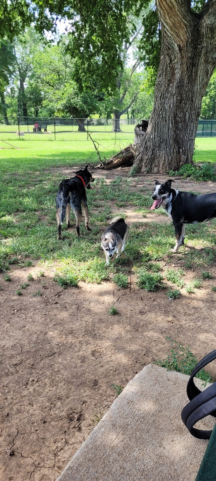 Augusta Dog Park | Augusta, KS 67010, USA | Phone: (316) 775-4505