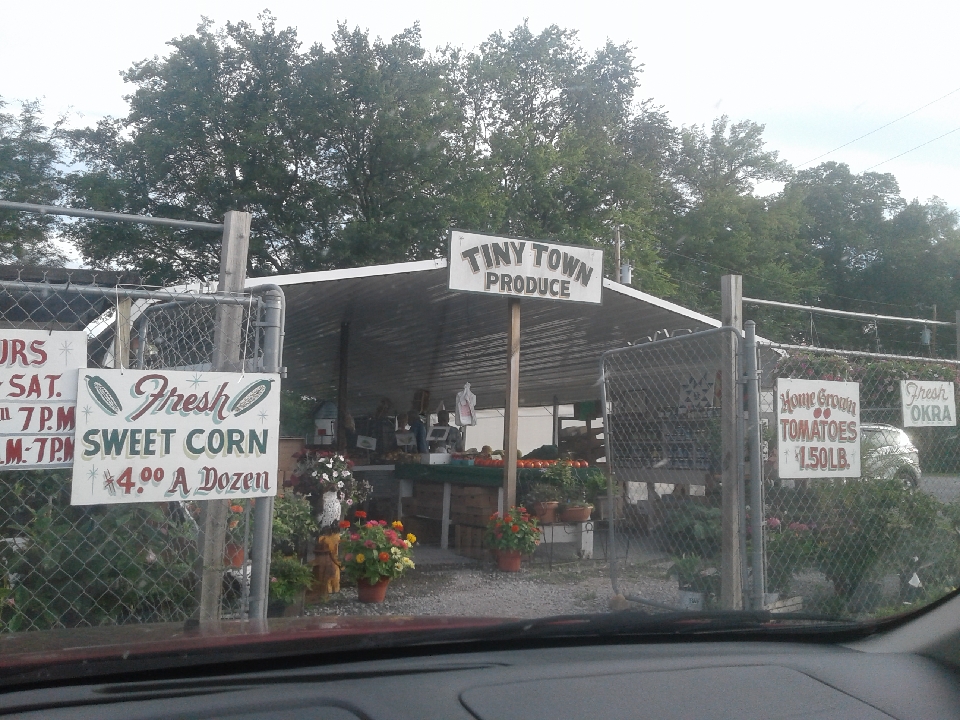 Tiny Town Produce | 10155 Dixie Beeline Hwy, Guthrie, KY 42234, USA | Phone: (270) 483-6009