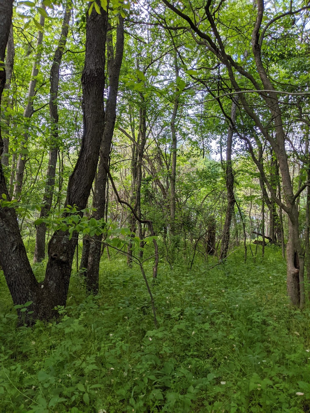 Cross Creek County Park in 1 County Park Rd, Avella, PA 15312, USA