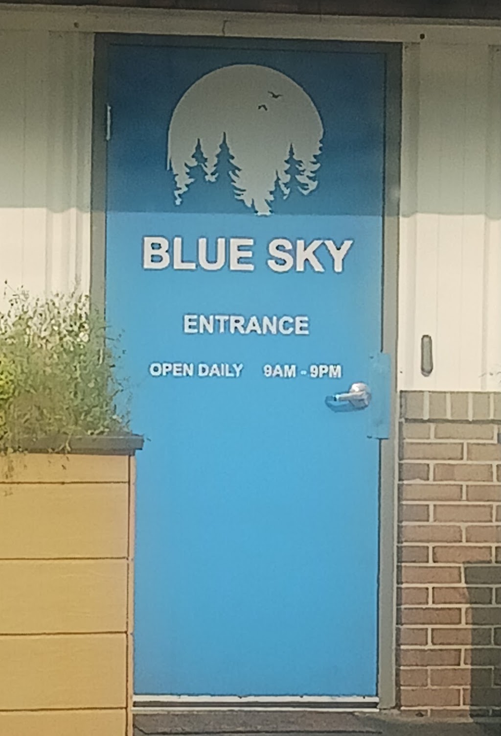 Blue Sky Cannabis Co. - NOW OPEN | 510 Savage Rd, Belleville, MI 48111, USA | Phone: (734) 252-6371