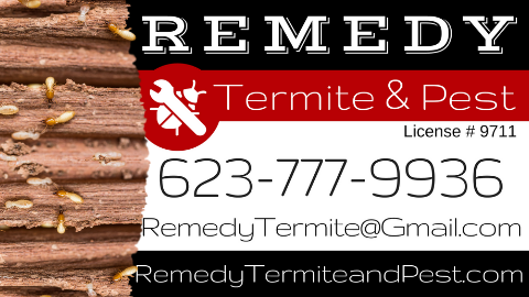 Remedy Termite & Pest | 35814 N 51st St, Cave Creek, AZ 85331, USA | Phone: (623) 777-9936