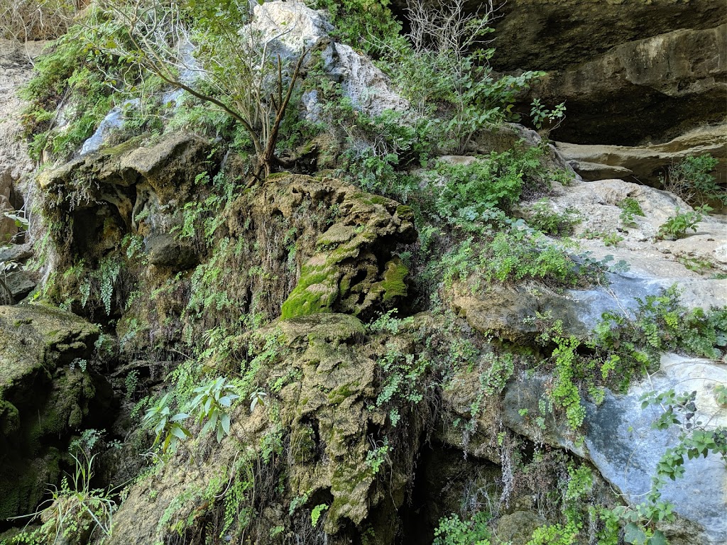 Hamilton Pool Preserve | 24300 Hamilton Pool Rd, Dripping Springs, TX 78620, USA | Phone: (512) 264-2740