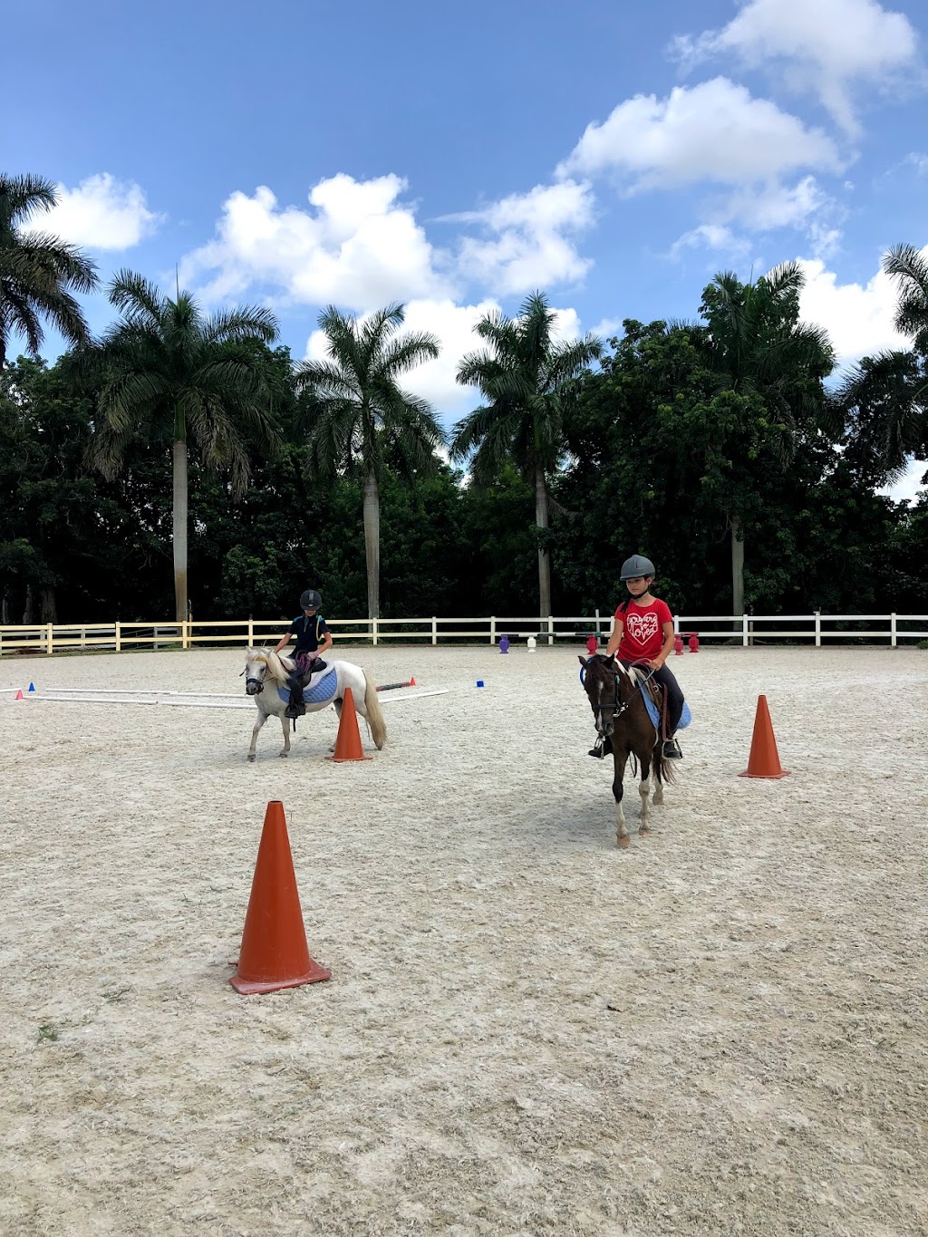 Capriola Equestrian | 2280 SW 154th Ave, Davie, FL 33326 | Phone: (754) 232-4250