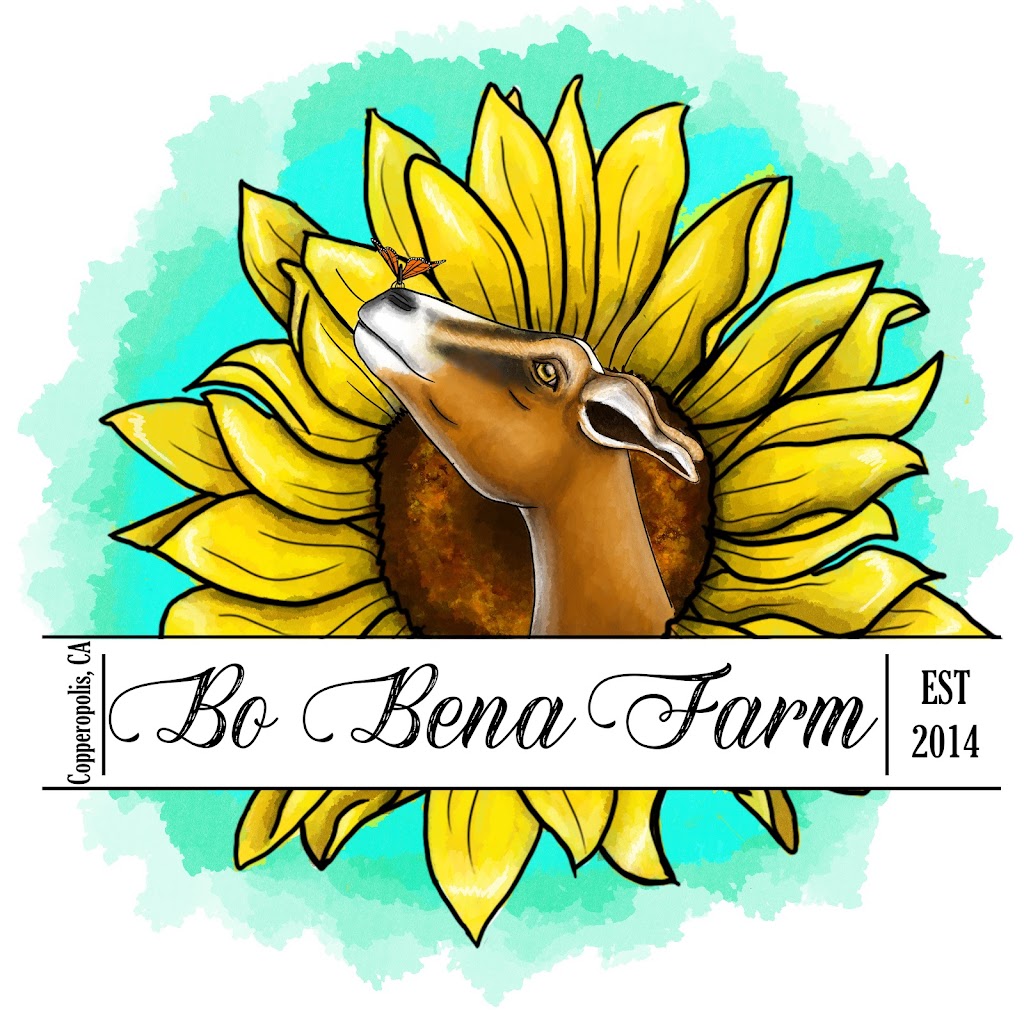 Bo Bena Farm | 3505 Spangler Ln, Copperopolis, CA 95228, USA | Phone: (209) 573-1641