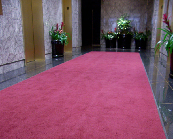 Red Carpet | 7100 Freda St, Dearborn, MI 48126, USA | Phone: (313) 772-5288