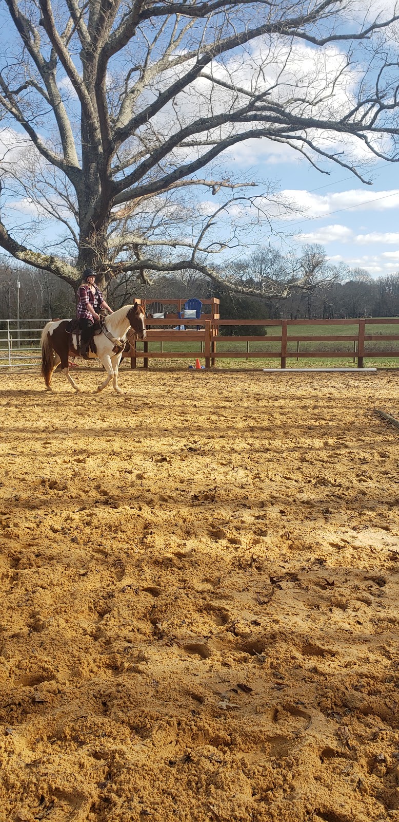 Flying C Farm | 242 Joe Fox Rd, Siler City, NC 27344, USA | Phone: (919) 930-7336 Flying C Farm | 242 Joe Fox Rd, Siler City, NC 27344, USA | Phone: (919) 930-7336