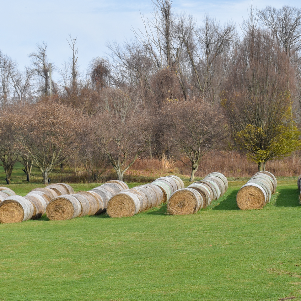 Coyne Family Farm LLC | 155 Atlas Cherry Valley Rd, Burgettstown, PA 15021, USA | Phone: (724) 344-7992