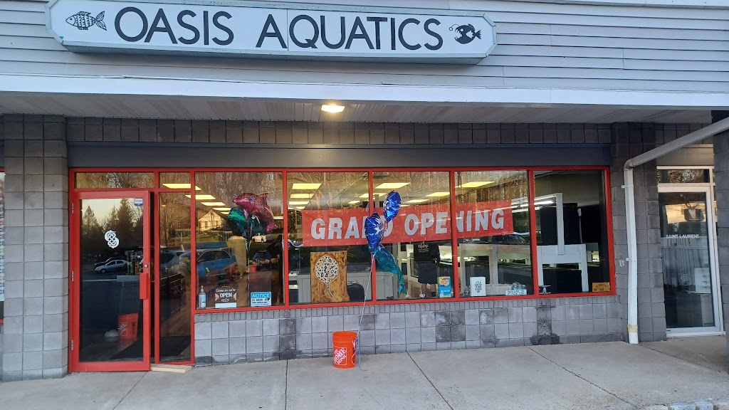 Oasis Aquatics | 915 County Rd 517, Hackettstown, NJ 07840, USA | Phone: (908) 441-2922