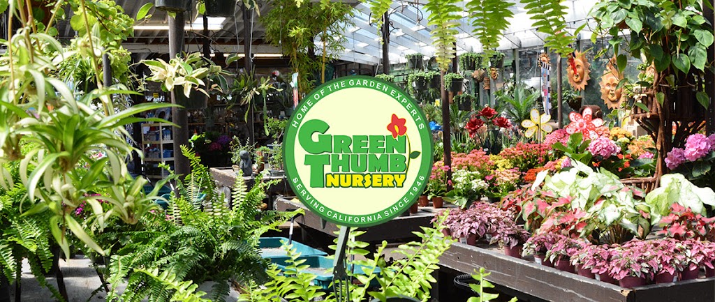 Green Thumb Nursery - Canoga Park | 21812 Sherman Way, Canoga Park, CA 91303, USA | Phone: (818) 485-4551