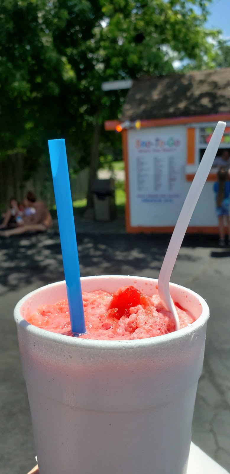 Sno-to-Go | 4293 Reavis Barracks Rd, St. Louis, MO 63125, USA | Phone: (314) 304-7612