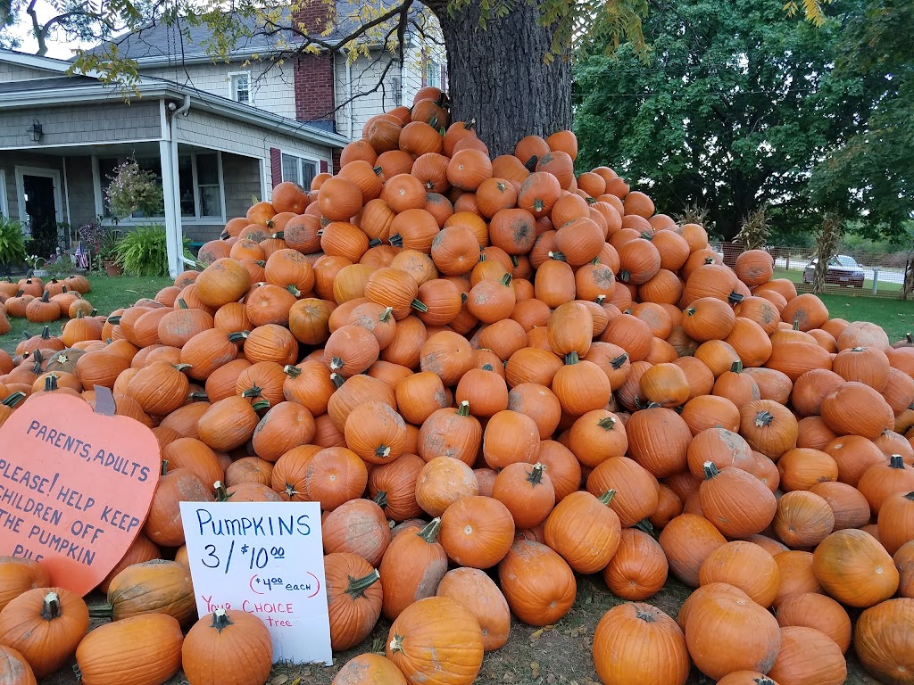 Grobe Fruit Farm Ltd | 43875 Telegraph Rd, Elyria, OH 44035, USA | Phone: (440) 322-8312
