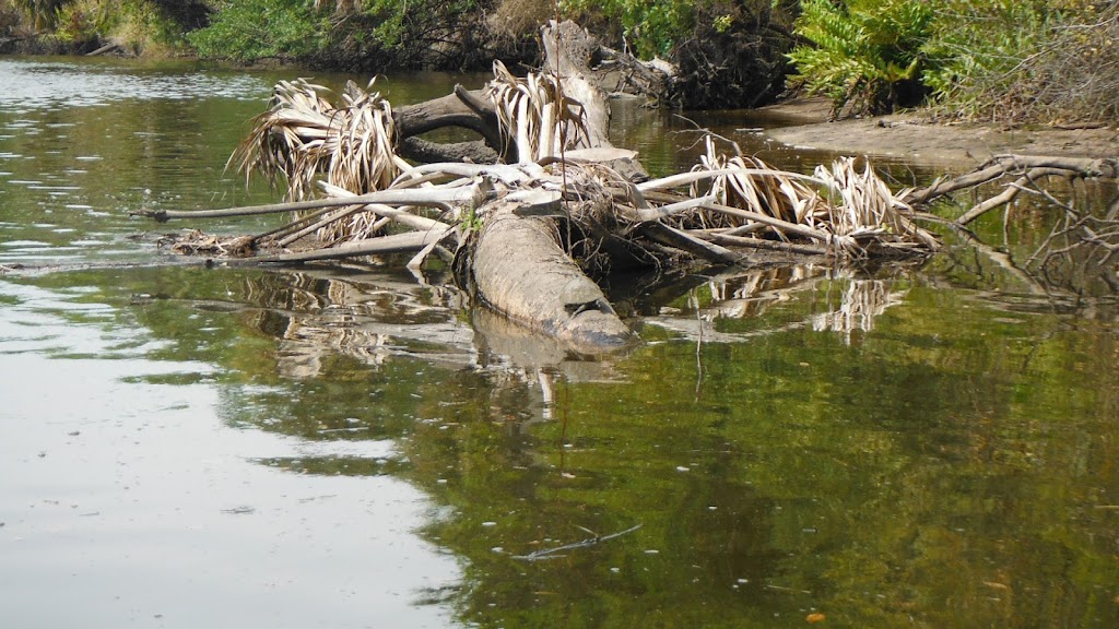 Rays Canoe Hideaway | 1289 Hagle Park Rd, Bradenton, FL 34212, USA | Phone: (941) 747-3909