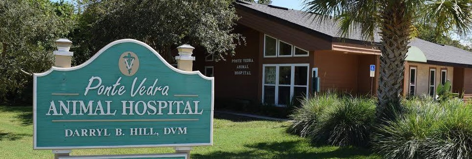 Ponte Vedra Animal Hospital: Darryl B Hill DVM | 28 Corona Rd, Ponte Vedra Beach, FL 32082 | Phone: (904) 285-7924