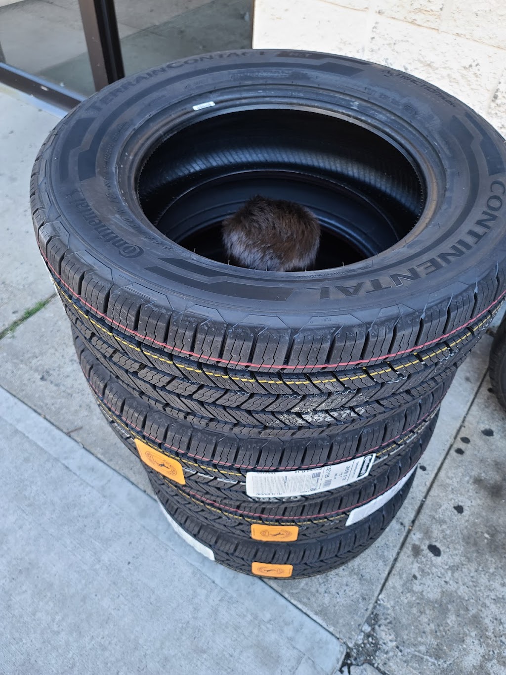 Auburndale Tires & Auto Repairs Inc. | 193-12 Northern Blvd, Flushing, NY 11358, USA | Phone: (718) 357-4560