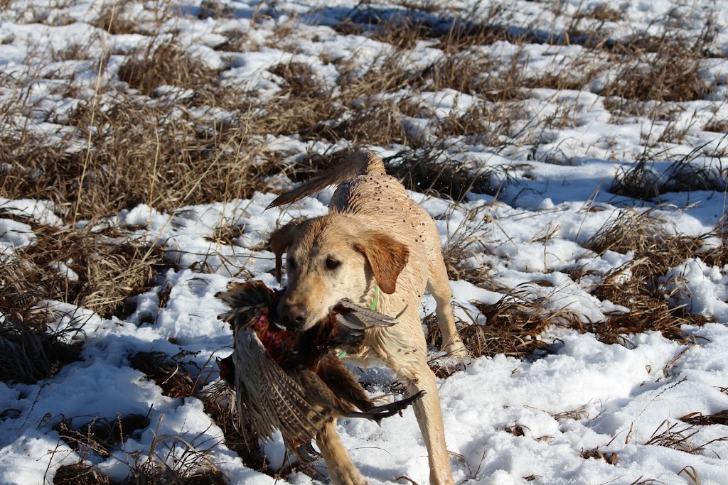 Boone Outfitters | Cr 6 and, S 19th Ave, Brighton, CO 80603, USA | Phone: (970) 445-8226