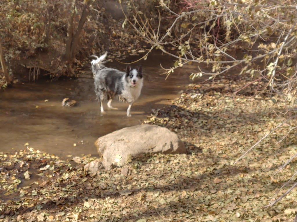 Bear Creek Dog Park Entrance | Colorado Springs, CO 80905, USA | Phone: (719) 385-5940