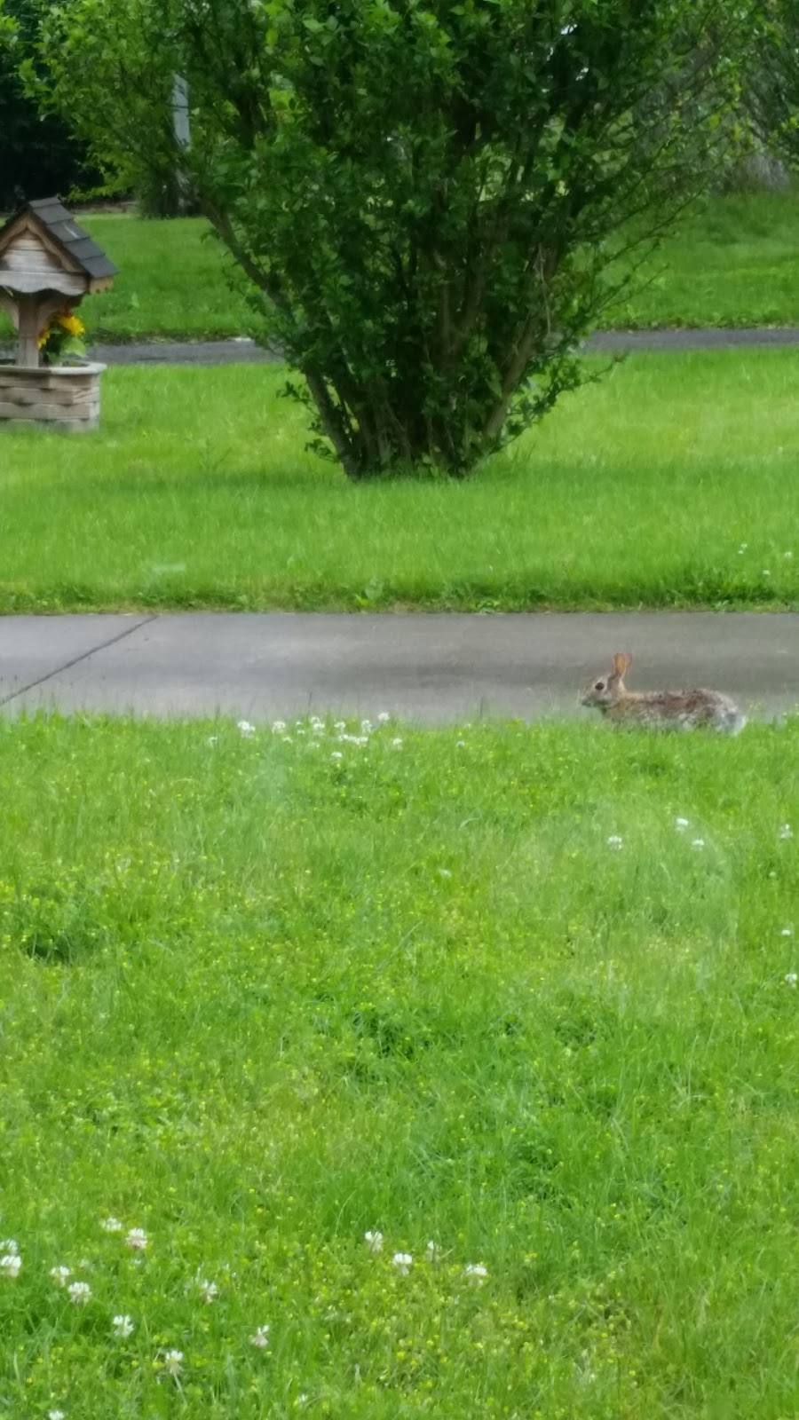 Kingdom Hall of Jehovahs Witnesses | 319 Struthers-Liberty Rd, Campbell, OH 44405, USA | Phone: (330) 755-3653