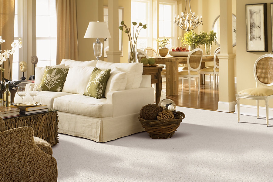 All Fresh Carpet Cleaners | 6347 Robins Nest, Stone Mountain, GA 30087, USA | Phone: (678) 973-9991