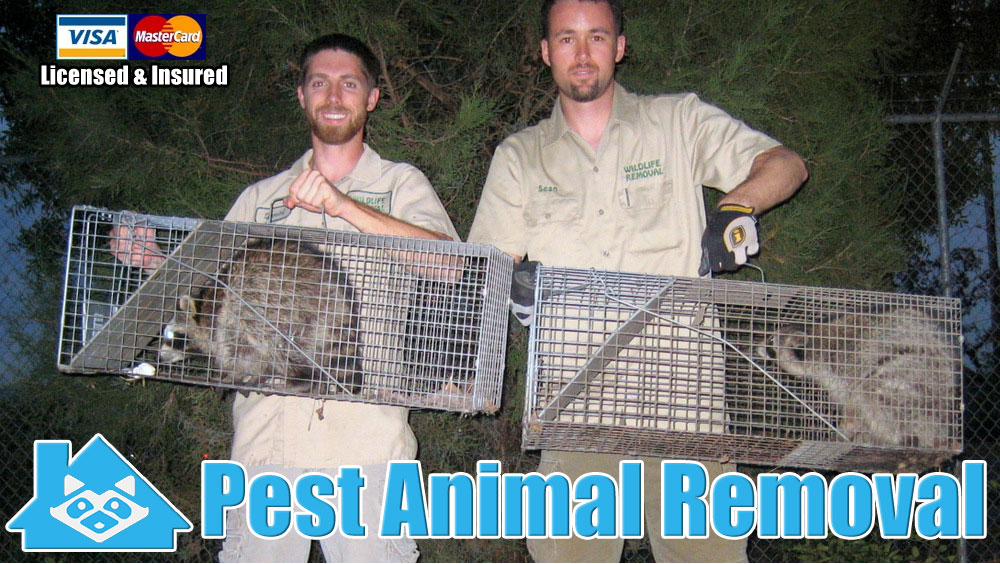 Pest Animal Removal Fort Wayne | 4415 Earth Dr b, Fort Wayne, IN 46809, USA | Phone: (260) 212-1344