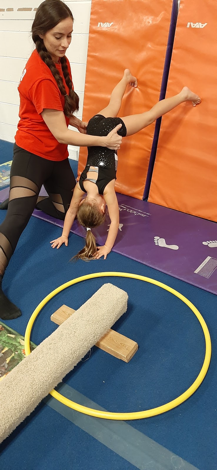 Apollo School of Gymnastics | 2140 Range Rd # G, Clearwater, FL 33765, USA | Phone: (727) 447-2108