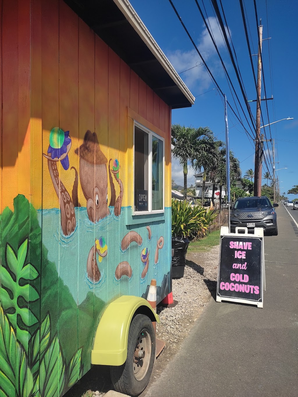 Coconut Girl & Guys LLC | 51-354 Kamehameha Hwy, Kaaawa, HI 96730, USA | Phone: (808) 954-0119