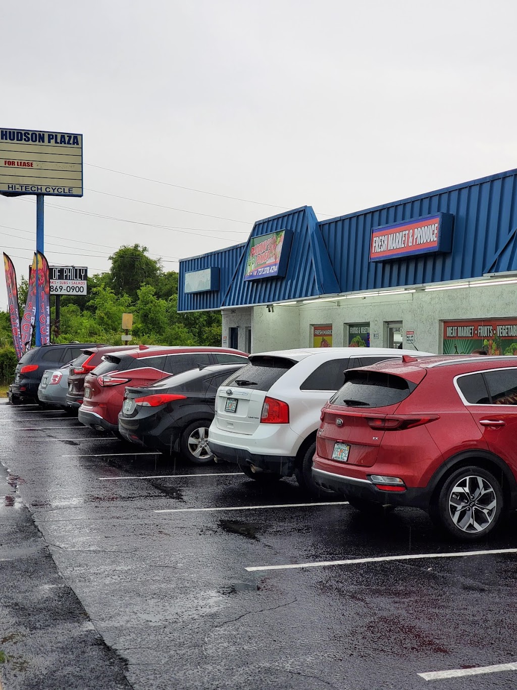 Platanos Power | 13438 US-19, Port Richey, FL 34667, USA | Phone: (727) 378-4214