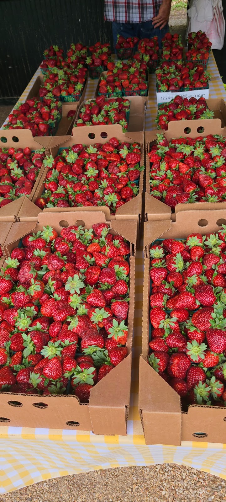 Glaser’s Produce Farm | Unnamed Road, New Roads, LA 70760, USA | Phone: (225) 618-9337
