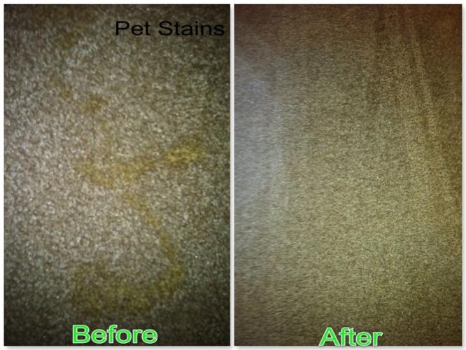 Pure Green Cleaning | 24480 Taft Rd, Novi, MI 48375, USA | Phone: (248) 982-2455