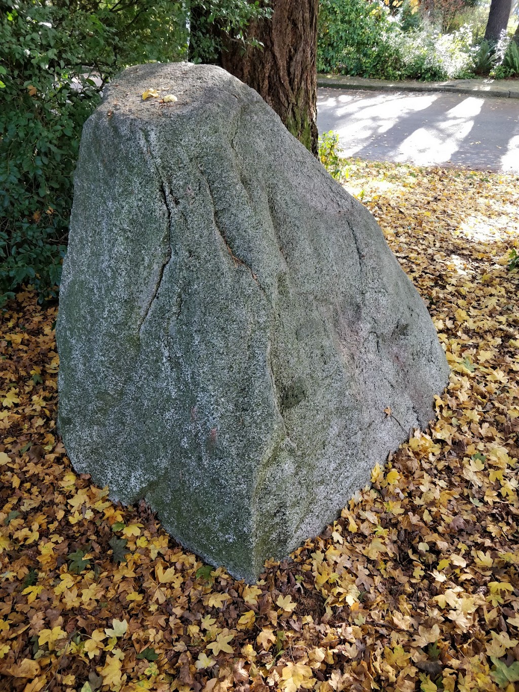 Triangle Park | 8126 31st Ave NE, Seattle, WA 98115, USA | Phone: (206) 684-4075