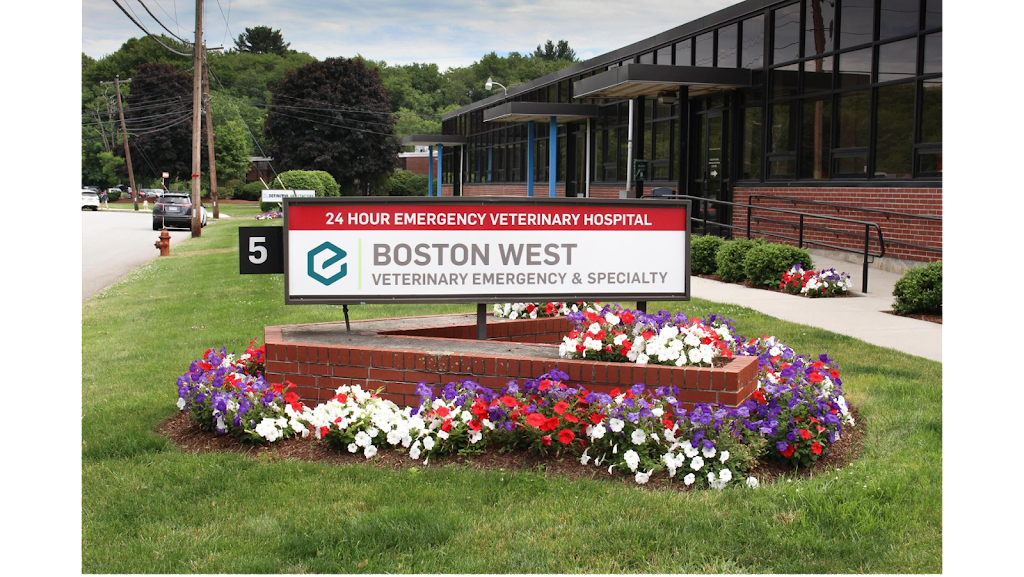 Boston West Veterinary Emergency & Specialty | 5 Strathmore Rd, Natick, MA 01760, USA | Phone: (508) 319-2117