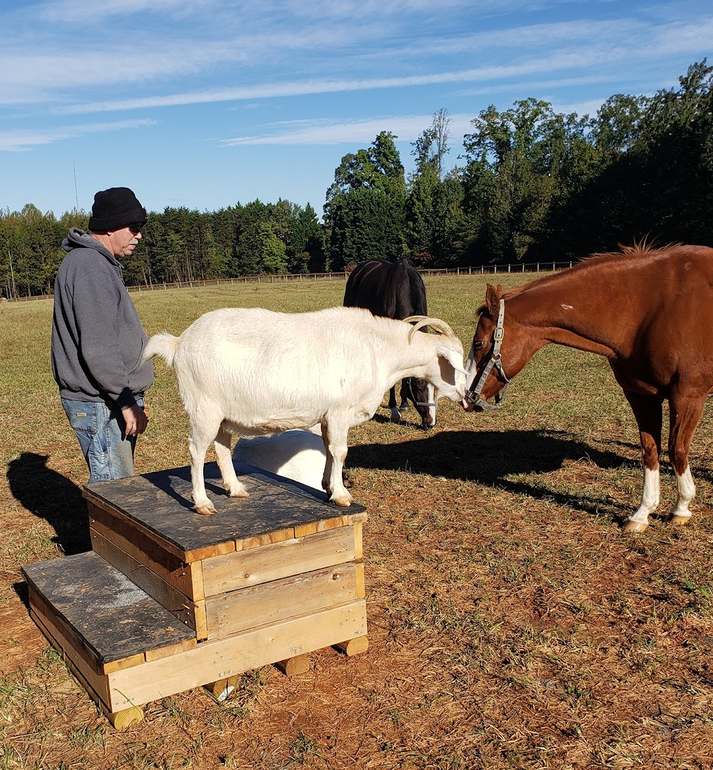 Carolina Equine Hospital | 5373 NC-150, Browns Summit, NC 27214, USA | Phone: (336) 349-4080