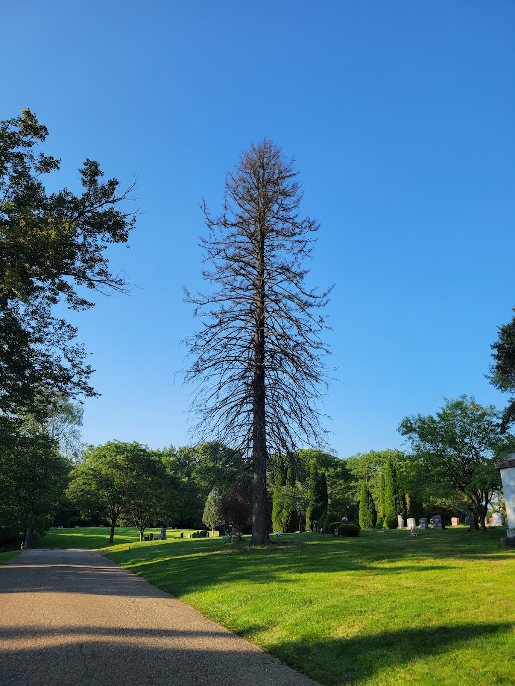 North Lawn Cemetery/Mausoleum | 4927 Cleveland Ave NW, Canton, OH 44709, USA | Phone: (330) 494-0641