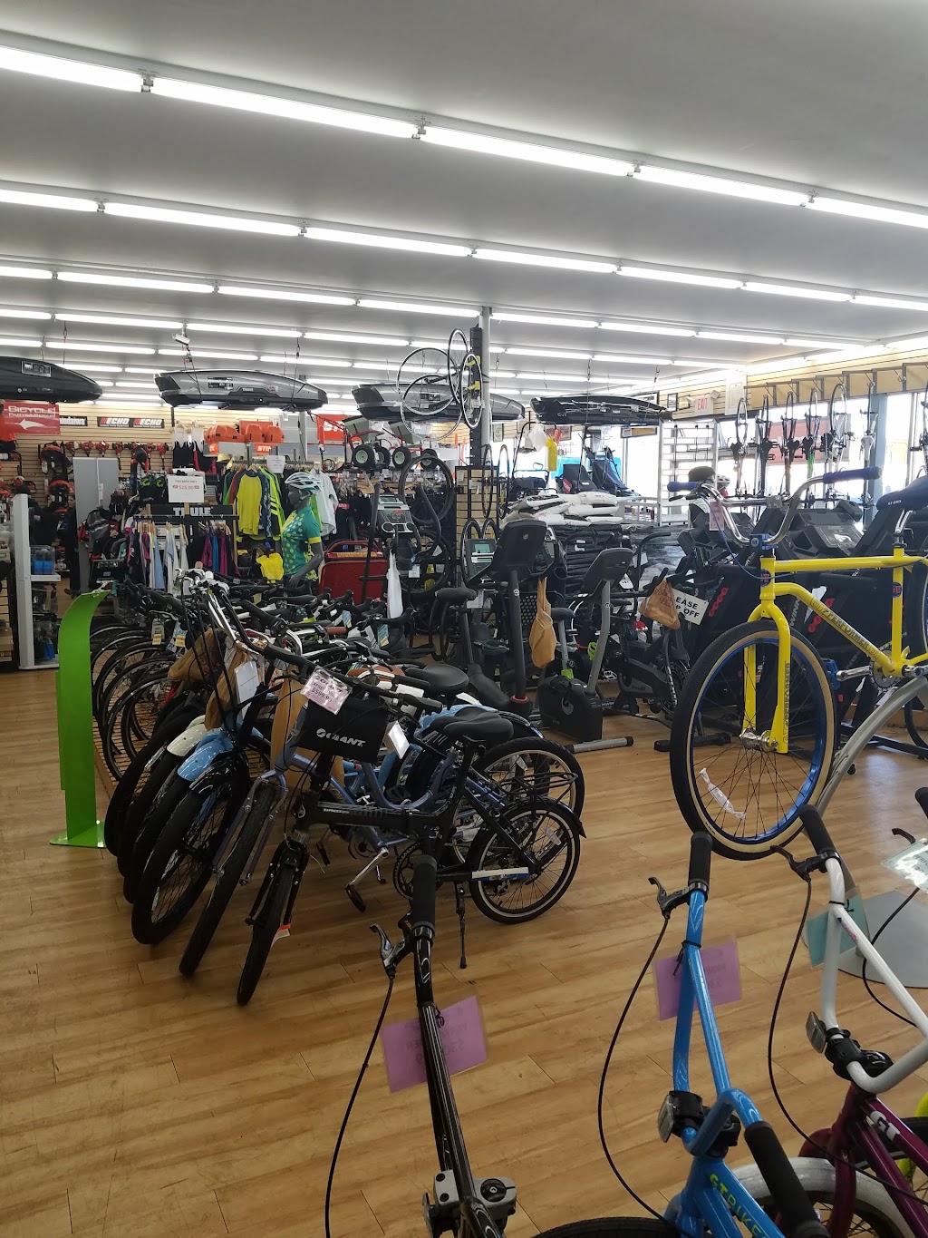 Mineola Bicycle, Fitness & Mower | 475 Jericho Turnpike, Mineola, NY 11501, USA | Phone: (516) 742-5253