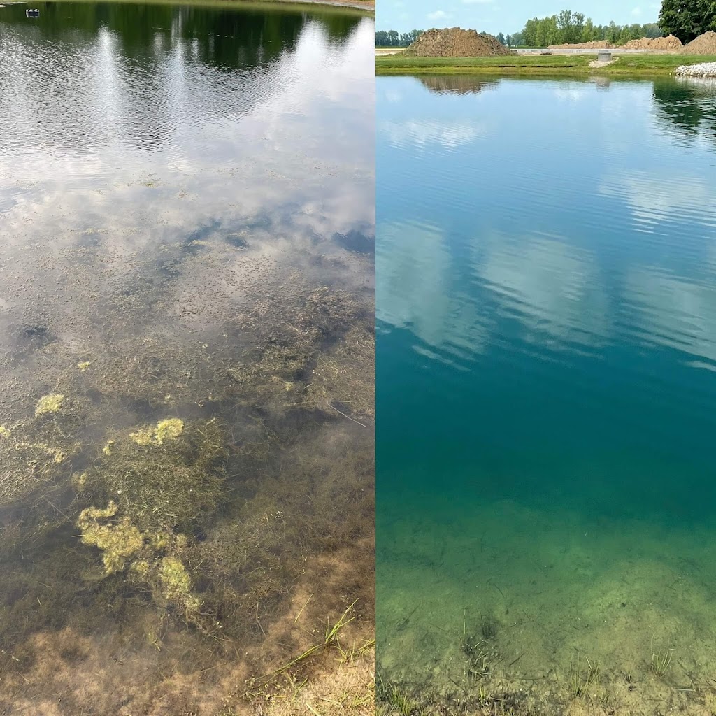 Bellus Aquatic Solutions | 9466 Moody Rd, Moores Hill, IN 47032, USA | Phone: (513) 283-3205