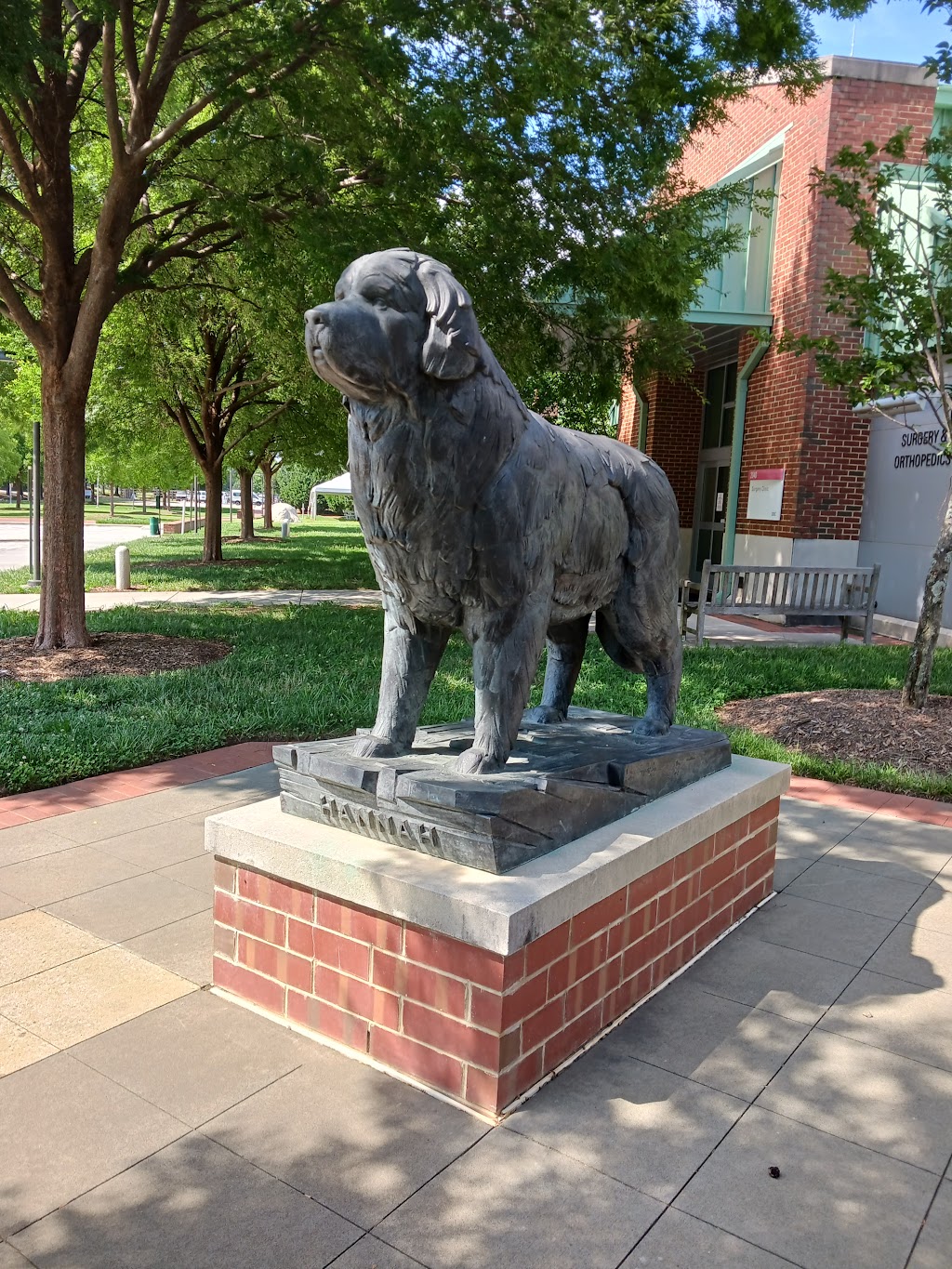 The NC State College of Veterinary Medicine | 1060 William Moore Dr, Raleigh, NC 27606, USA | Phone: (919) 513-6786