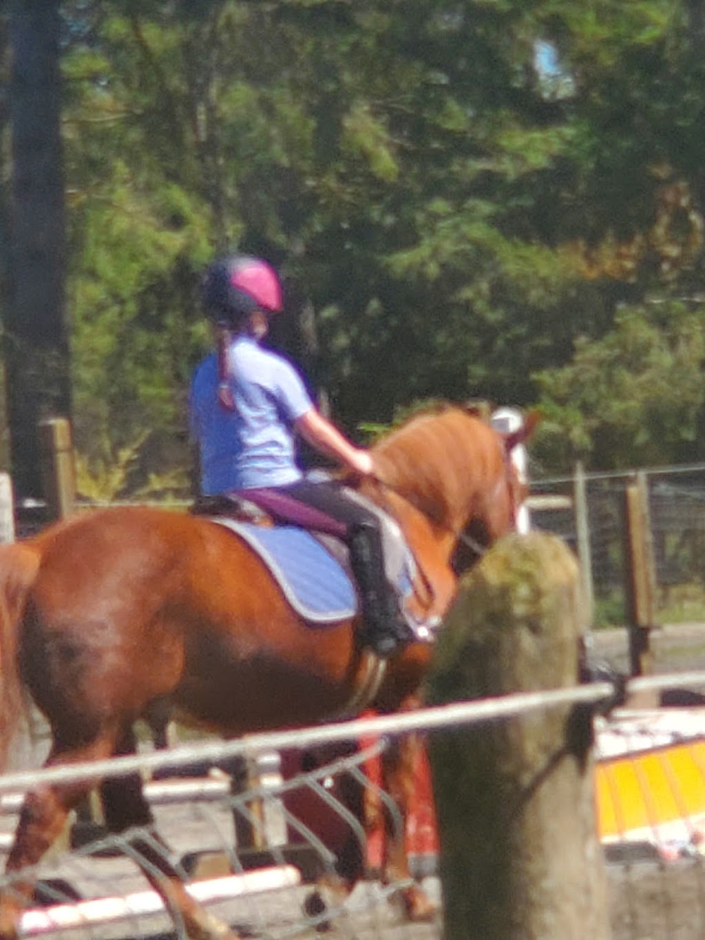 Grand Farms Riding Academy | 12604 189th Ave NW, Gig Harbor, WA 98329, USA | Phone: (360) 558-9469