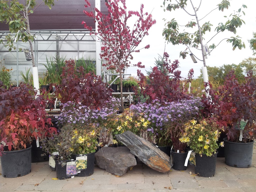 Northland Landscape Nursery | 29905 MN-65, Isanti, MN 55040, USA | Phone: (763) 444-6314