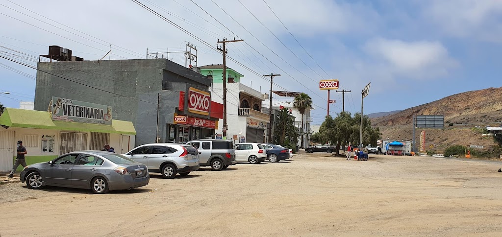 VETERINARY CLINIC Morelos | Lázarzo, 22746 Lázaro Cárdenas, B.C., Mexico | Phone: 646 155 1079