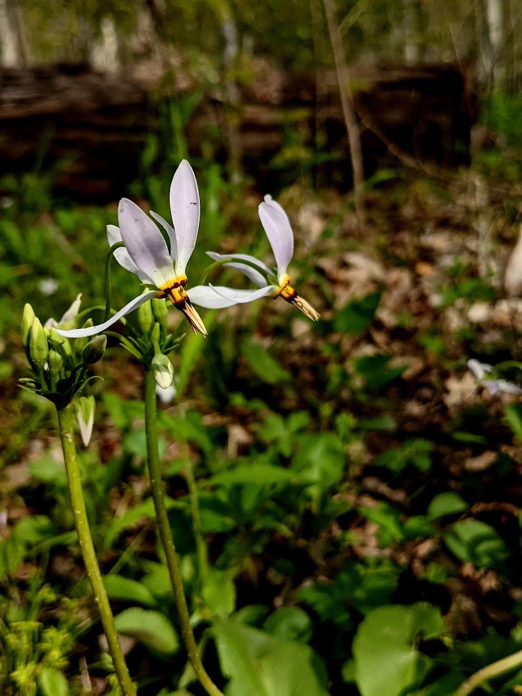 Acres Along the Wabash - ACRES Land Trust | 892 IN-116 #2, Bluffton, IN 46714, USA | Phone: (260) 637-2273