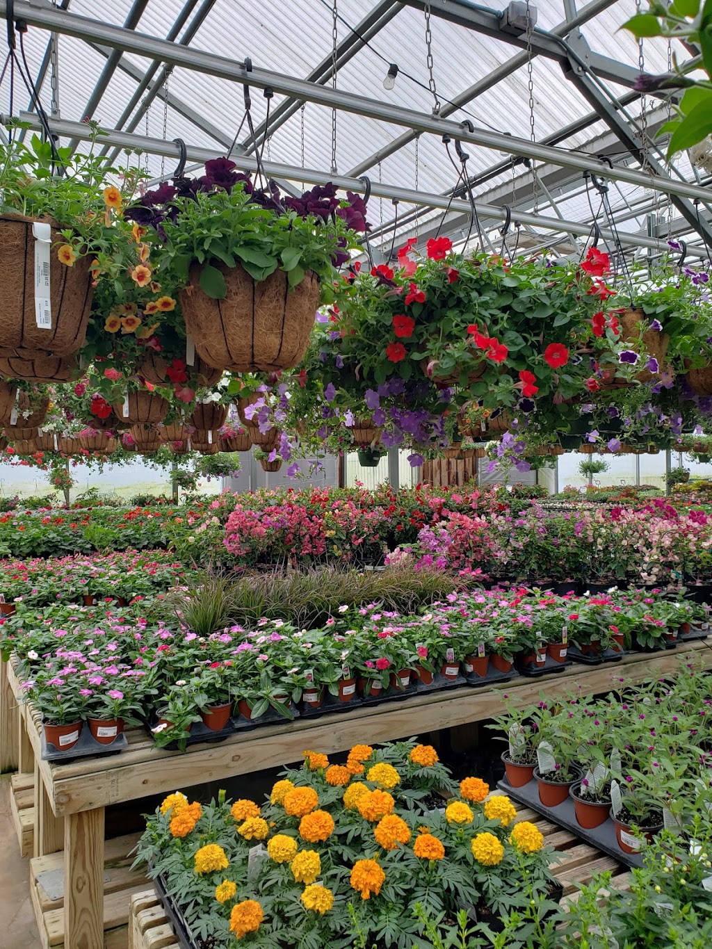 Warren Family Garden Center and Nursery | 900 Old Ashville Rd, Leeds, AL 35094, USA | Phone: (205) 640-5891